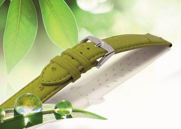 chia sẻ về việc mua dây da đồng hồ hải triều 2