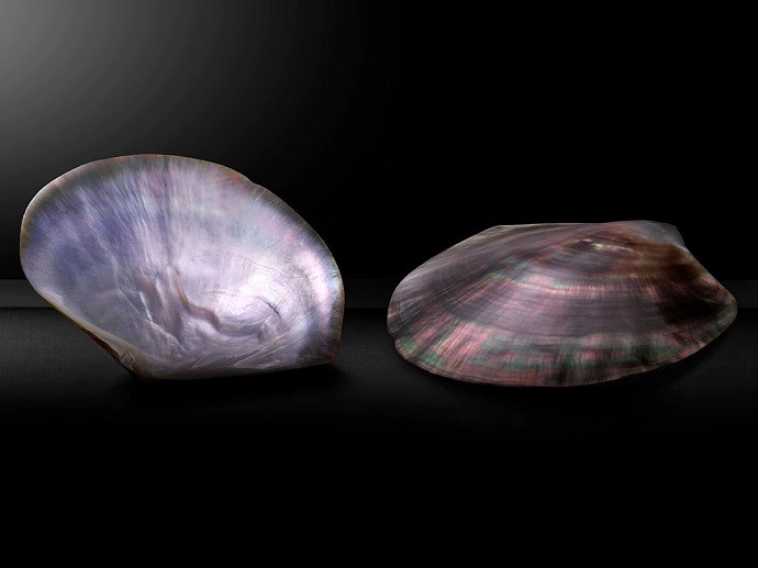 Tissot T094.210.33.116.00 3 Tissot T094.210.33.116.00, nổi bật với 12 viên kim cương -2