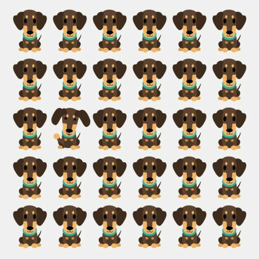 5 cách kiểm tra mắt có bị cận hay không tại nhà, lưu ý khi đo 4 5 cách kiểm tra mắt có bị cận hay không tại nhà, lưu ý khi đo - Ảnh 3