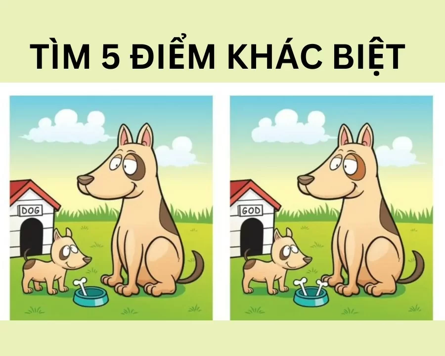 5 cách kiểm tra mắt có bị cận hay không tại nhà, lưu ý khi đo 8 5 cách kiểm tra mắt có bị cận hay không tại nhà, lưu ý khi đo - Ảnh 7