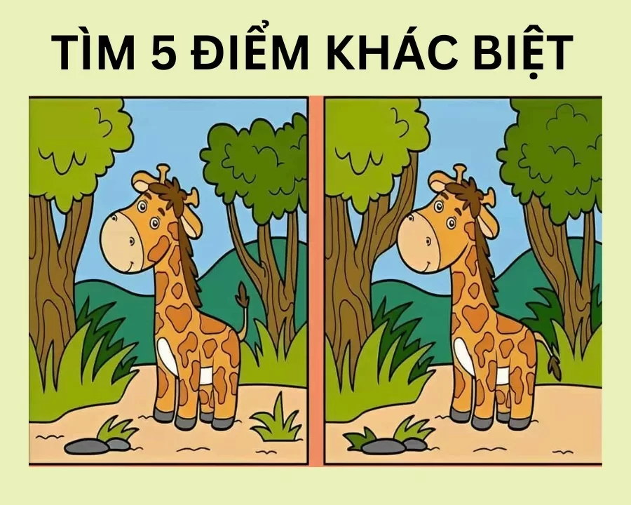 5 cách kiểm tra mắt có bị cận hay không tại nhà, lưu ý khi đo 9 5 cách kiểm tra mắt có bị cận hay không tại nhà, lưu ý khi đo - Ảnh 8